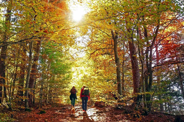 https://discovermessolonghi.gr/wp/wp-content/uploads/2022/10/hiking.jpg