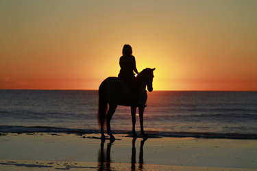 https://discovermessolonghi.gr/wp/wp-content/uploads/2022/10/horse_riding-1.jpg