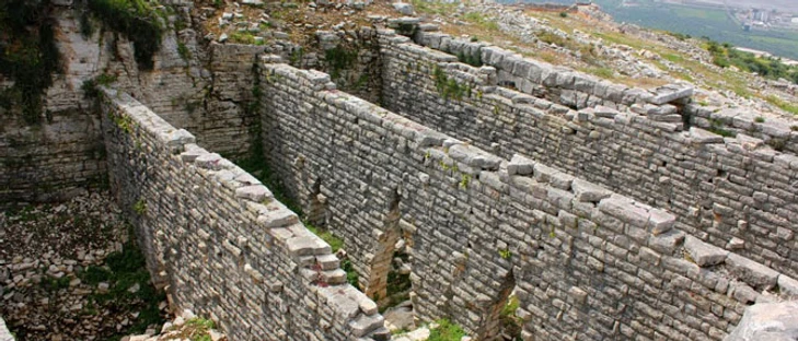 plevrona3
