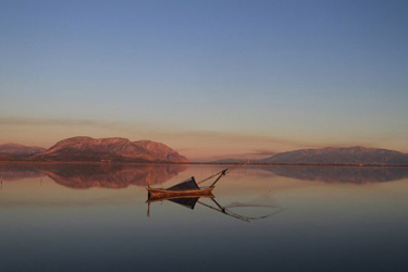 Φωτογραφικό Σαφάρι