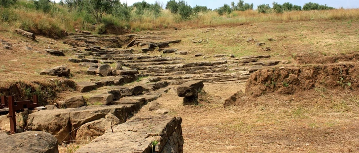 https://discovermessolonghi.gr/wp/wp-content/uploads/2022/10/ριγανας1-3.webp