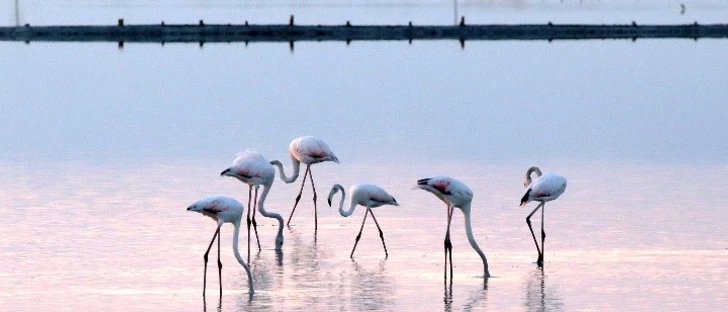 https://discovermessolonghi.gr/wp/wp-content/uploads/2022/10/φωτογραφιες1-3.webp