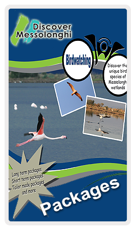 https://discovermessolonghi.gr/wp/wp-content/uploads/2025/07/bird-watching3.png